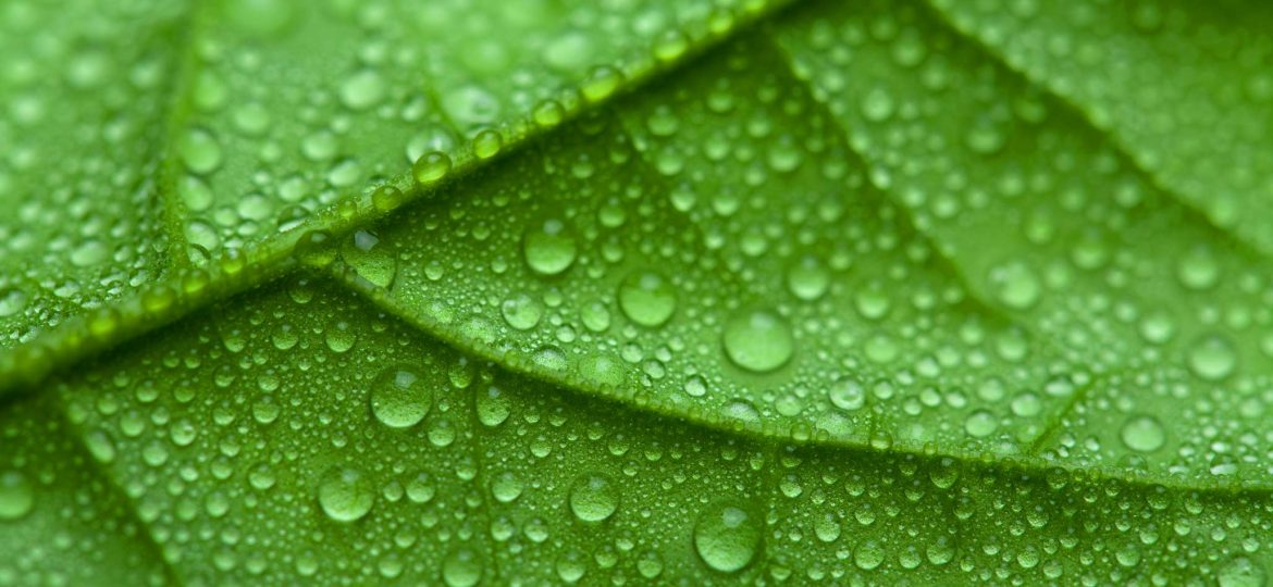 eu-green-deal