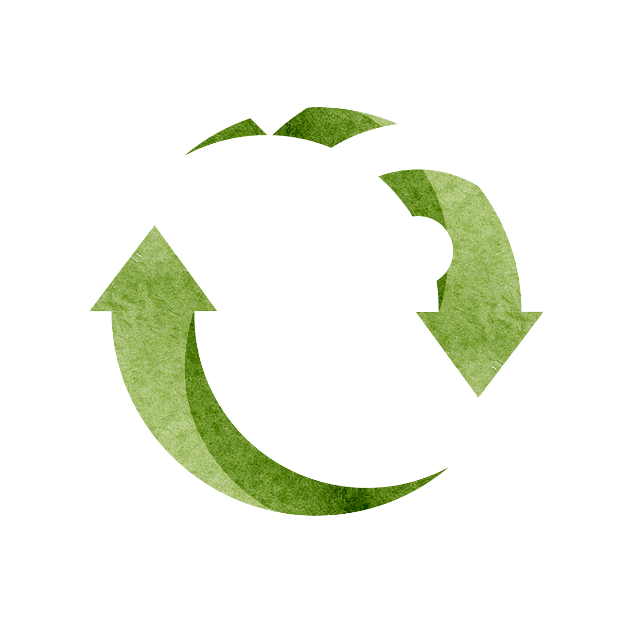 Digital Sustainability