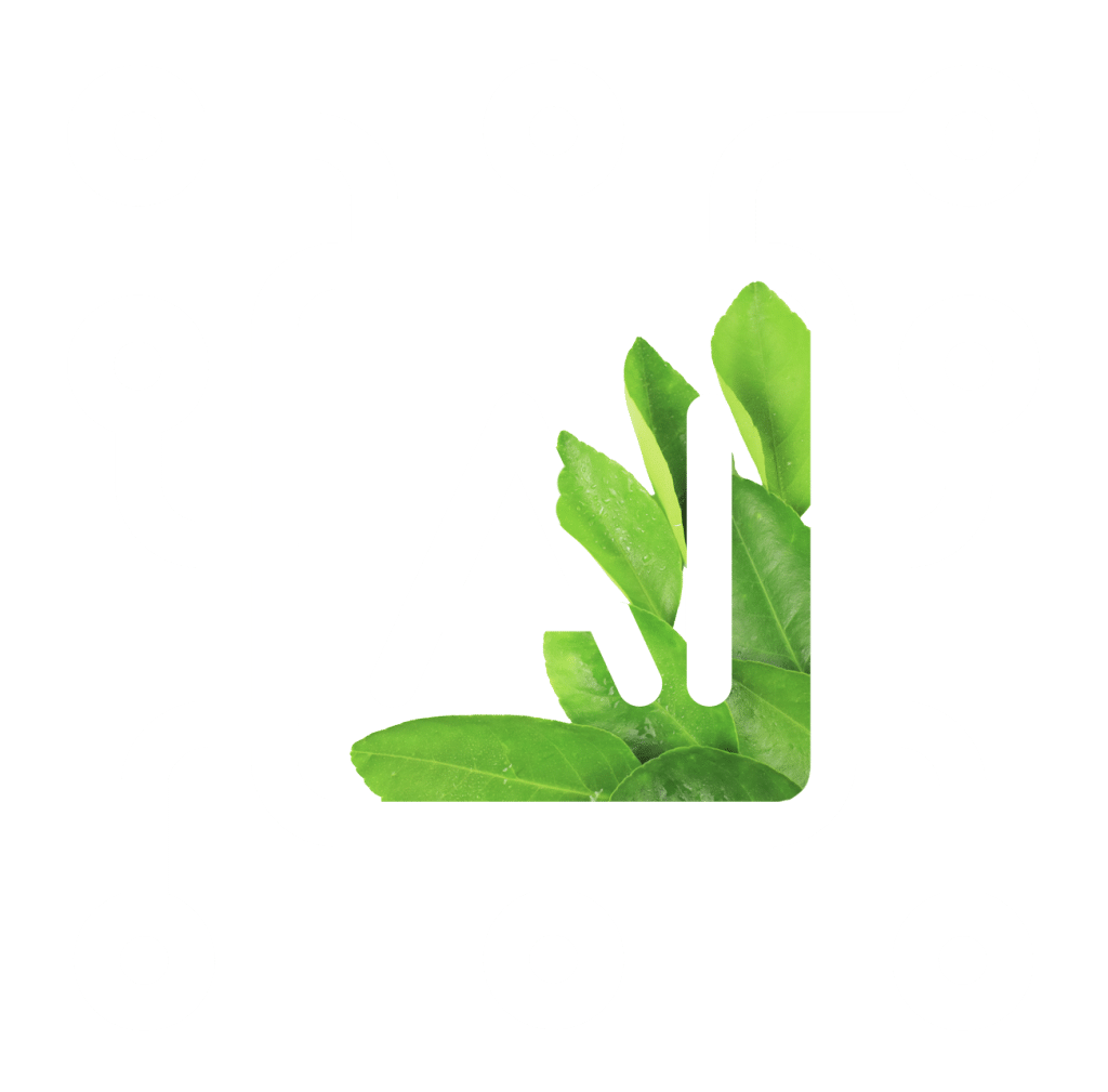 Responsible-and-Efficient-AI