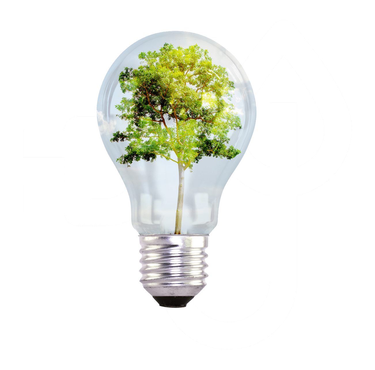 Sustainable Energy Transition